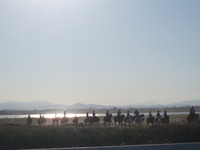 SITE EN CONSTRUCTION