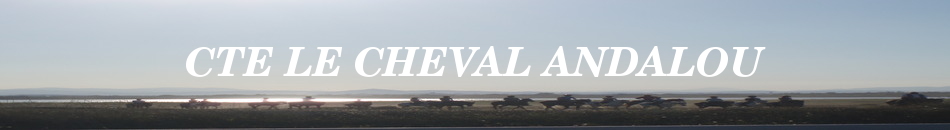 CTE LE CHEVAL ANDALOU